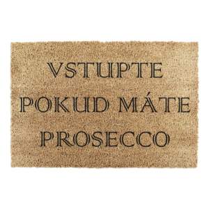 Rohožka z kokosového vlákna 40×60 cm Prosecco – Artsy Doormats