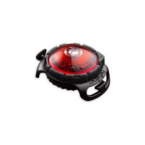 LED světlo na obojek Red – Orbiloc