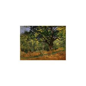 Reprodukce obrazu Claude Monet – The Bodmer Oak, Fontainebleau Forest, 70 x 50 cm