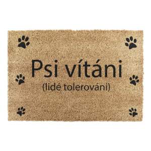 Rohožka z kokosového vlákna 40×60 cm Psi vítáni – Artsy Doormats