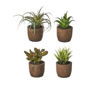 Umělé rostliny v sadě 4 ks (výška 10 cm) Cactus – Casa Selección