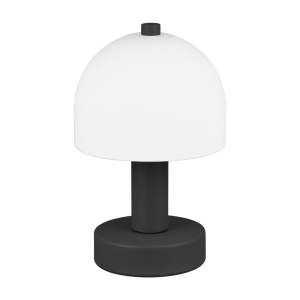 Černo-bílá stolní lampa se skleněným stínidlem (výška 19 cm) Glenn – Trio