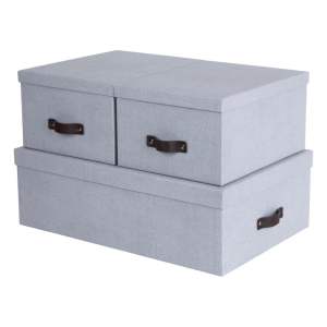 Světle šedé kartonové úložné boxy s víkem v sadě 3 ks 31x47x15 cm Inge – Bigso Box of Sweden
