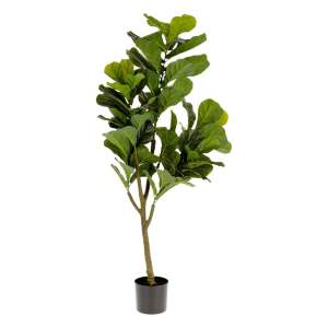 Umělý fíkus (výška 150 cm) Lyrata – Kave Home