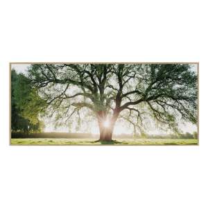 Obraz 150×60 cm Tree in the Sun