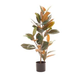 Umělý fíkus (výška 90 cm) Ficus – Ixia