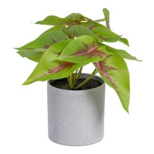 Umělá rostlina (výška 20 cm) Syngonium – Ixia