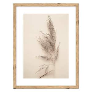 Obraz 30×40 cm Grass – knor