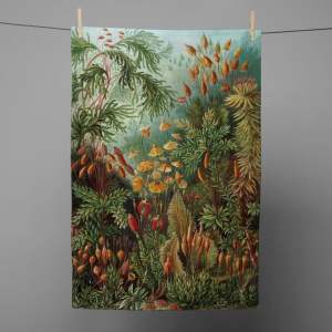 Utěrka 43×64 cm Deep Forest – Madre Selva