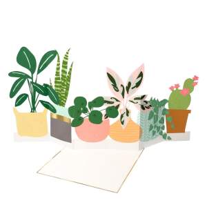 Přání Potted Plant – Meri Meri