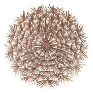 Plastové prostírání 6 ks ø 38 cm Dandelion – VDE Tivoli 1996