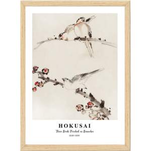 Obraz 35×45 cm Hokusai – Wallity