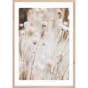 Obraz 50×70 cm Beige I – Styler