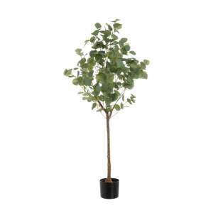 Umělá květina Eucalyptus – Casa Selección