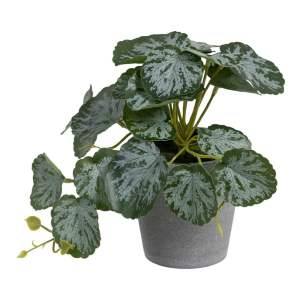 Umělá rostlina (výška 21,5 cm) Saxifraga – Ixia