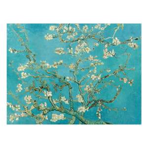 Reprodukce obrazu Vincenta van Gogha – Almond Blossom, 70 x 50 cm