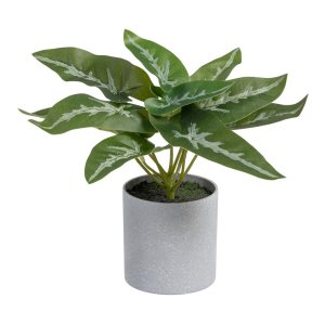 Umělá rostlina (výška 21 cm) Syngonium – Ixia
