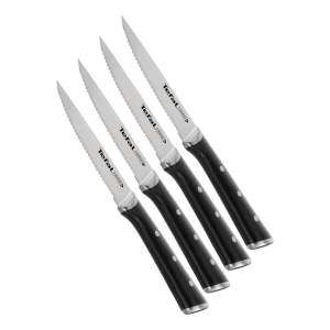 Sada nožů na steak z nerezové oceli 4 ks Ice Force – Tefal