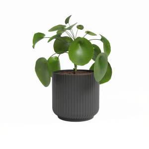 Keramický květináč ø 15 cm Luna – Artevasi