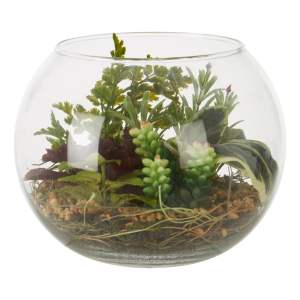 Umělý sukulent (výška 15 cm) Fiori – Premier Housewares
