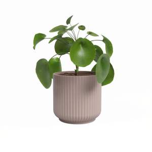 Keramický květináč ø 19 cm Luna – Artevasi