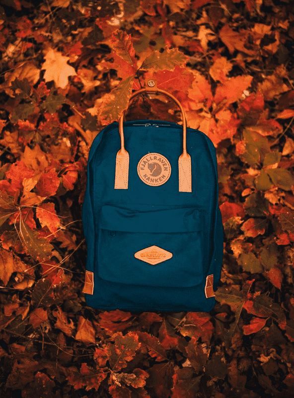 Carnilove Kanken bag No. 2 Laptop 15 Navy Carnilove Kanken bag No. 2 Laptop 15 Navy