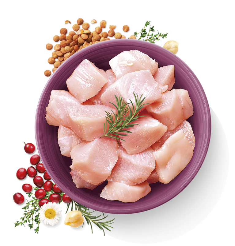 Carnilove True Fresh Cat Chicken 1,8 kg - Obrázek 2