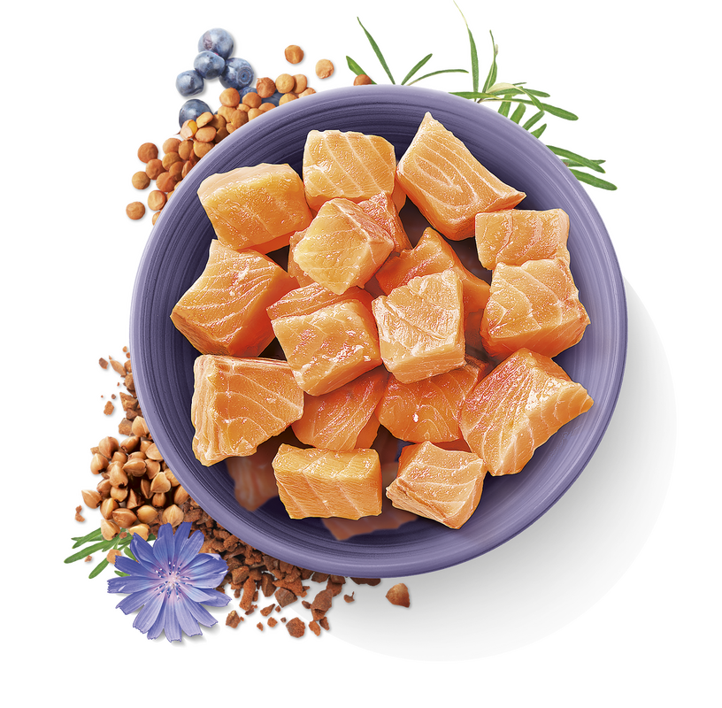 Carnilove True Fresh Cat Fish 1,8 kg - Obrázek 2