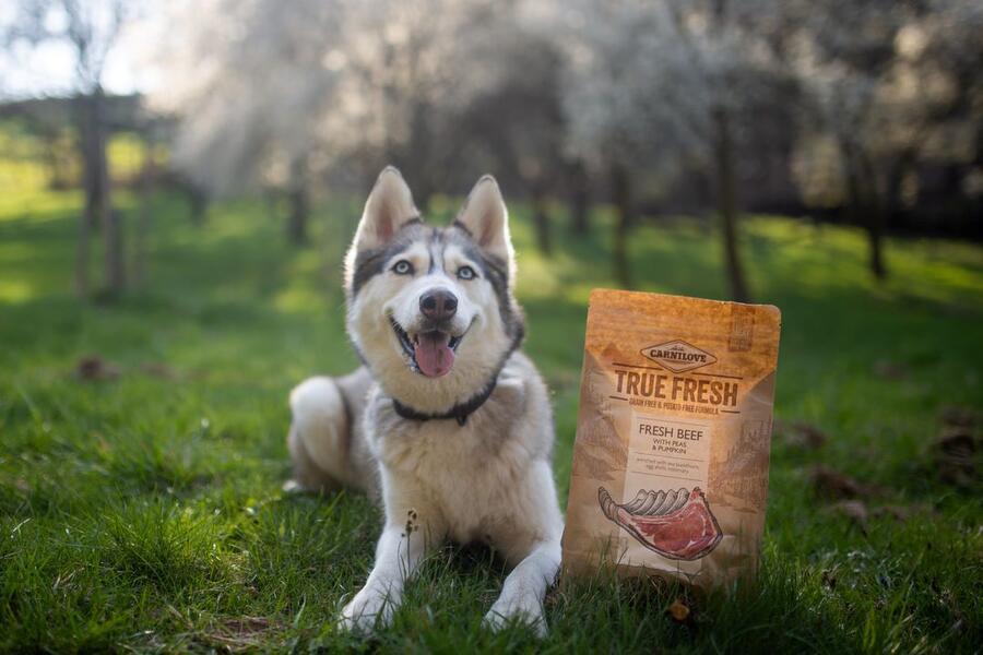 Carnilove True Fresh - Fresh Beef with Peas and Pumpkin 1,4 kg - Obrázek 2