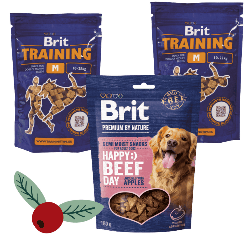 SNACKPACK – tréninkový balíček pamlsků pro střední psy SNACKPACK – tréninkový balíček pamlsků pro střední psy