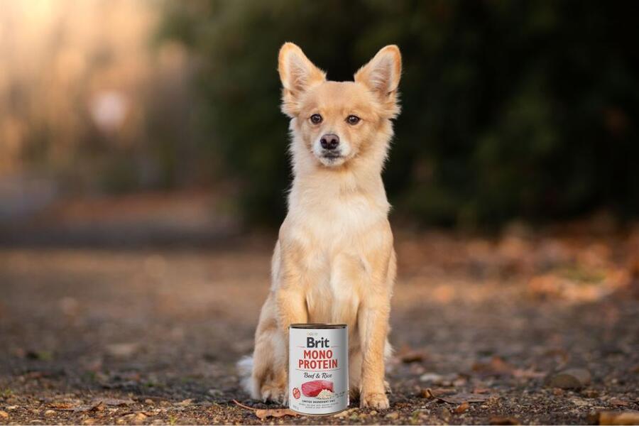 Brit Mono Protein Beef & Brown Rice 400 g - Obrázek 2