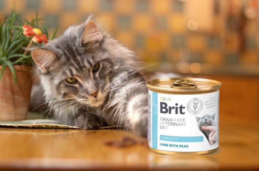 Brit GF Veterinary Diet Cat Cans Obesity 200 g - Obrázek 2