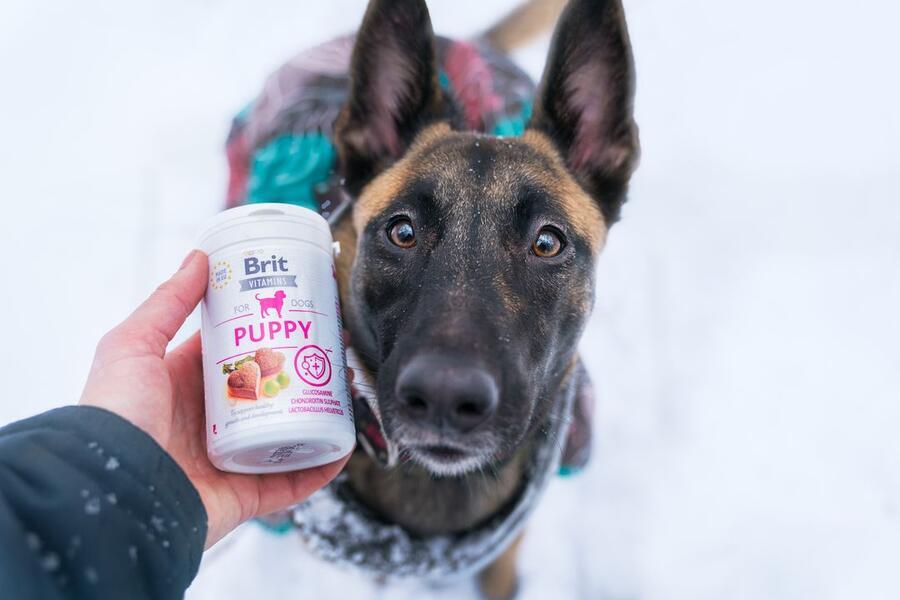 Brit Vitamins Puppy 150 g - Obrázek 2