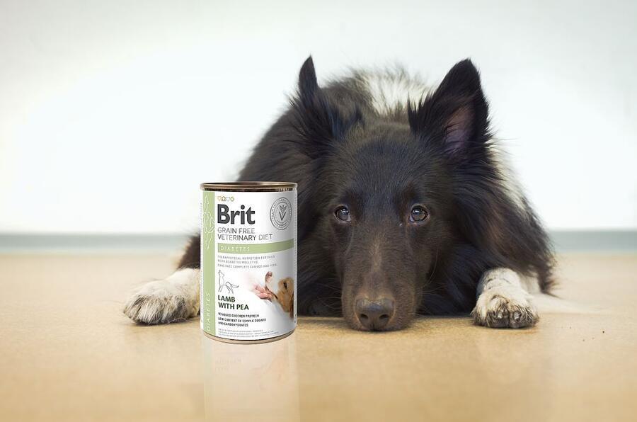 Brit GF Veterinary Diets Dog Can Diabetes 400 g - Obrázek 2