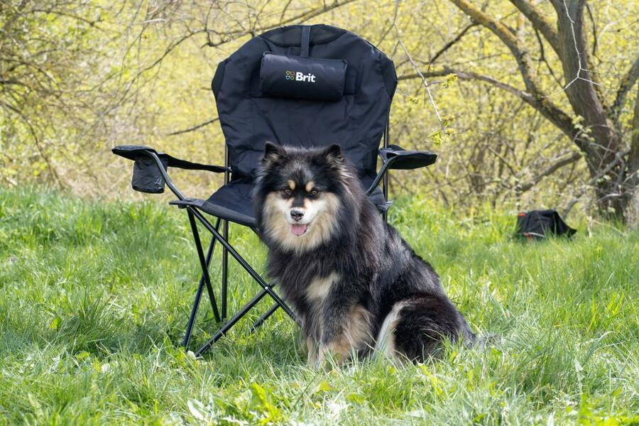 Brit Chair - Obrázek 2