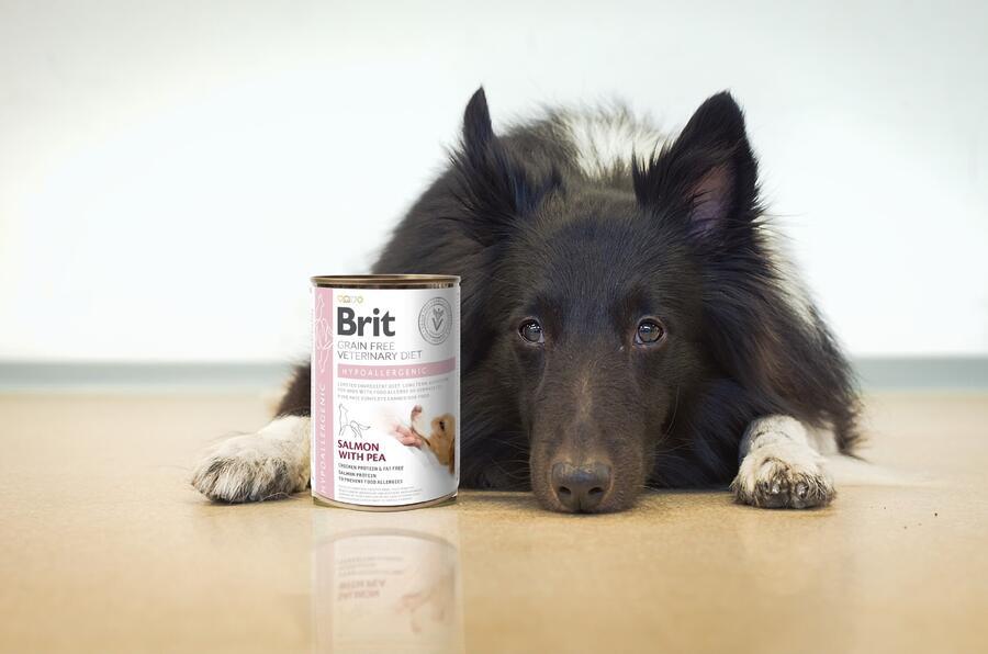 Brit GF Veterinary Diets Dog Can Hypoallergenic 400 g - Obrázek 2
