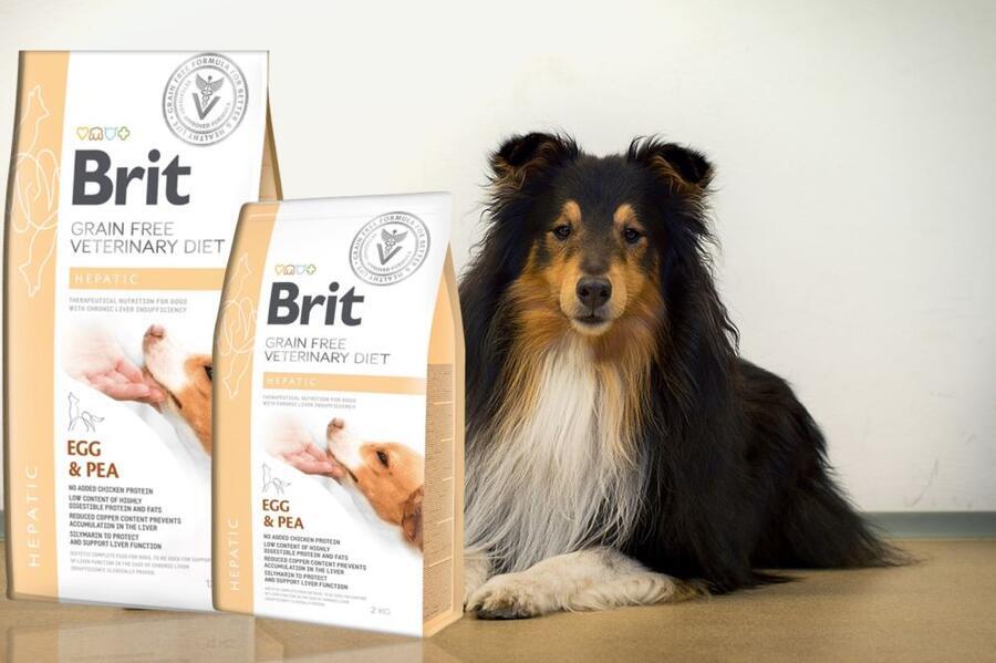Brit GF Veterinary Diets Dog Hepatic - Expirace 2 kg - Obrázek 2