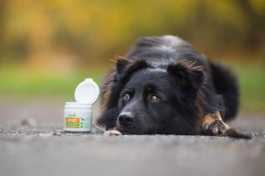 Canvit Sport Maxi 230 g - Obrázek 2