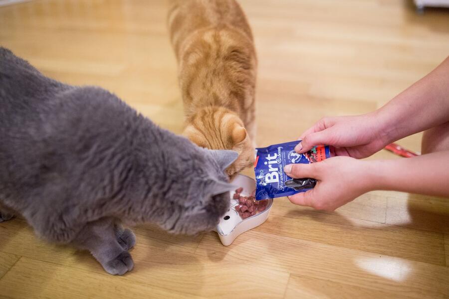 Brit Premium Cat Pouches Salmon for Sterilized 100 g - Obrázek 2