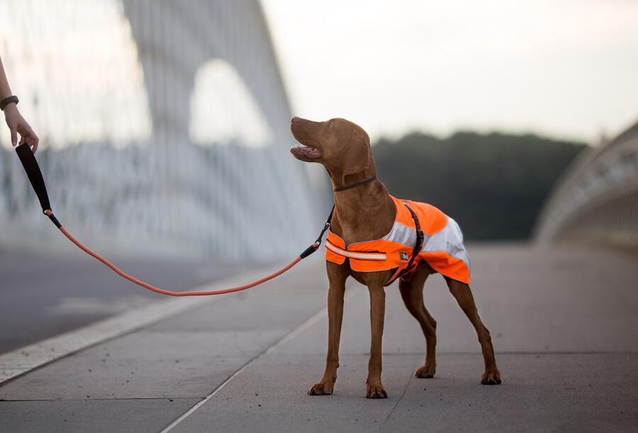 Pláštěnka - světle zelená XXS - Obrázek 2