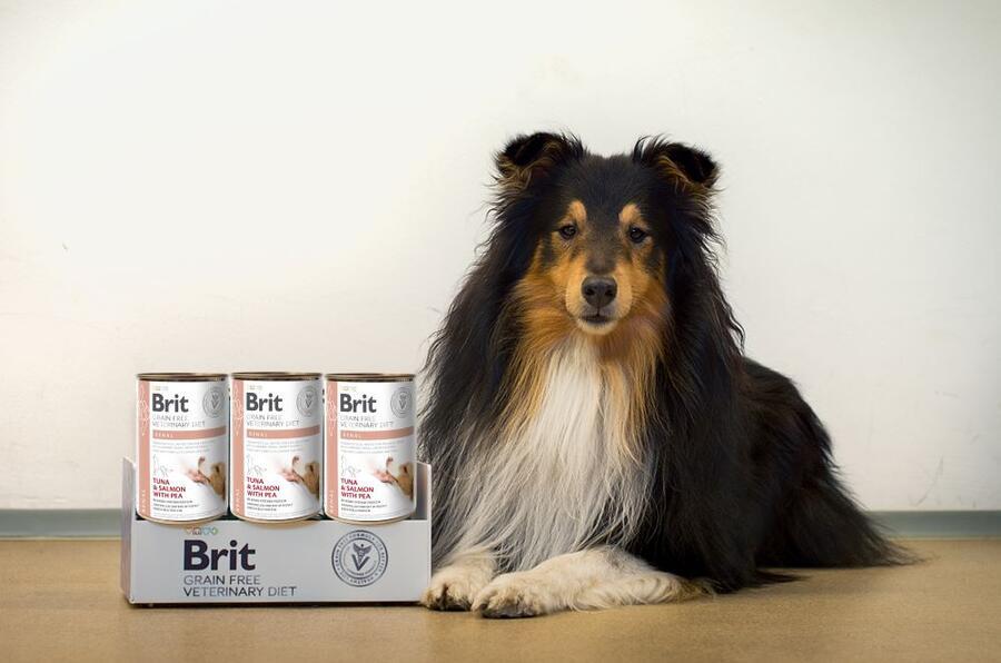 Brit GF Veterinary Diets Dog Can Renal 400 g - Obrázek 2