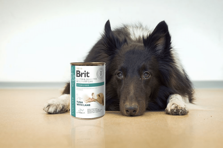 Brit Veterinary Care Dog Gluten&Grain free Sterilised 400 g - Obrázek 2
