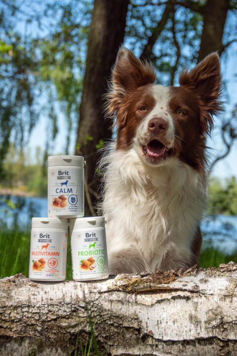 Brit Vitamins Calm 150 g - Expirace - Obrázek 2