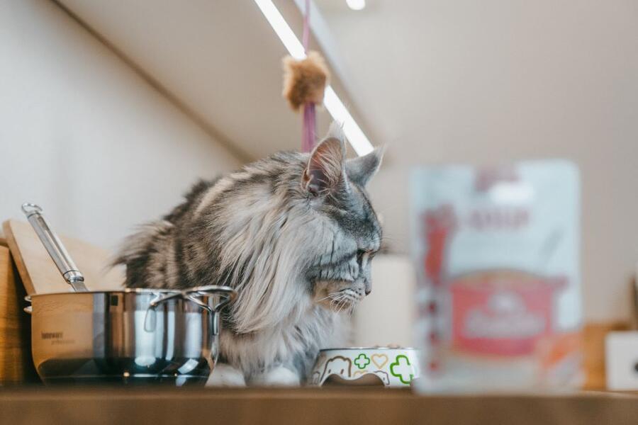 Brit Care Soup with Chicken for Cats 75 g - Obrázek 2