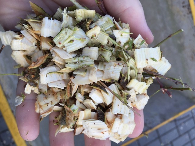 LUMAG GERMANY Lumag RAMBO HC10E - drtič větví sestavení + příprava k provozu v našem servisu před odesláním ZDARMA! - Obrázek 2