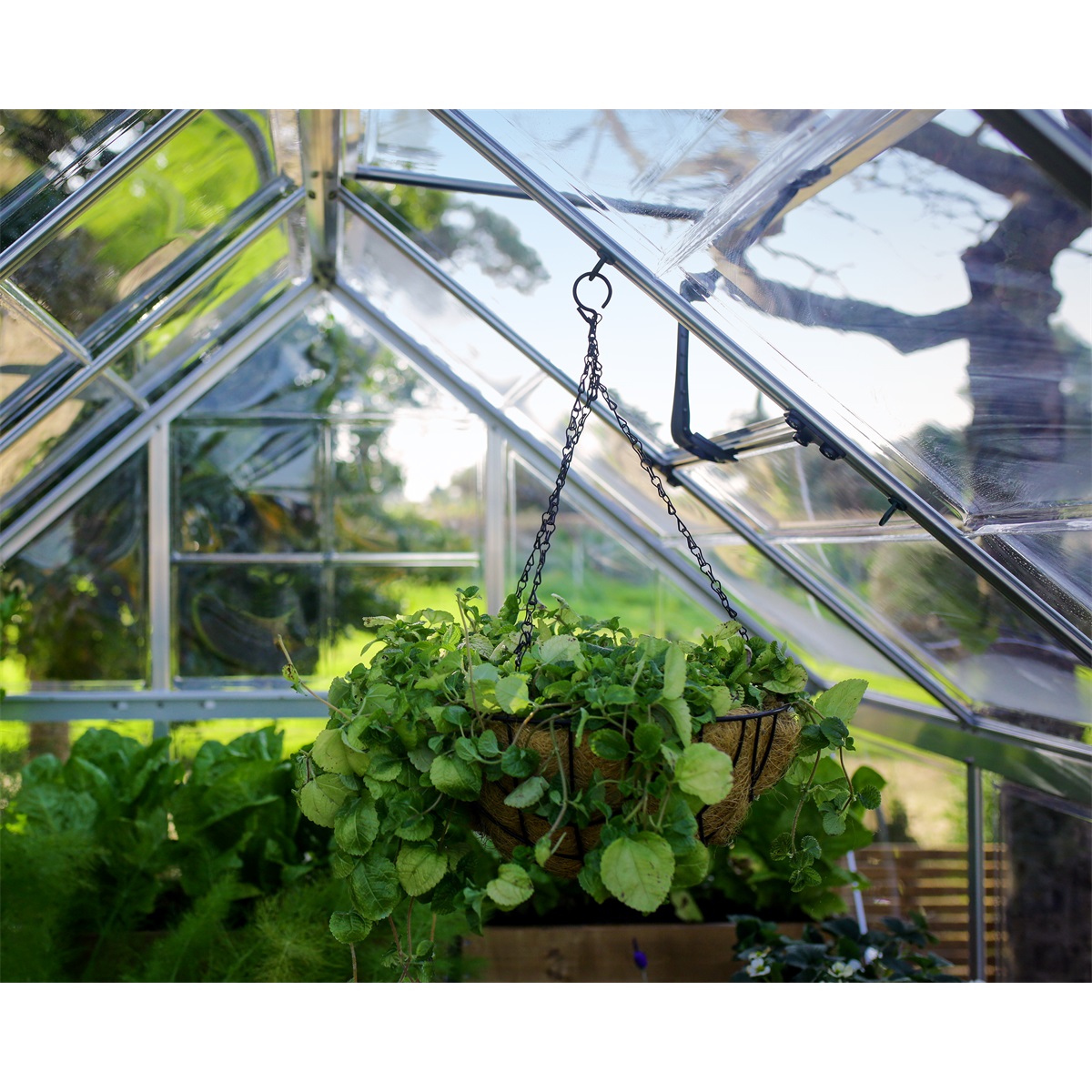 Palram - Canopia - sada 10-ti háčků - Obrázek 2