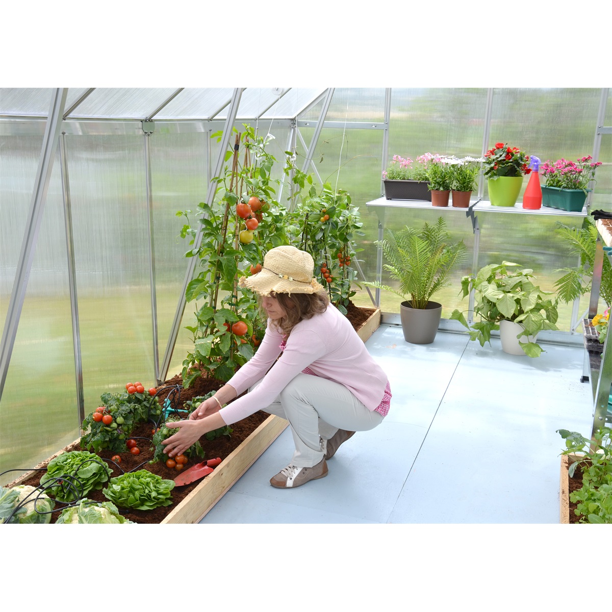 Palram - Canopia Essence 8x12 silver - polykarbonátový skleník - Obrázek 2