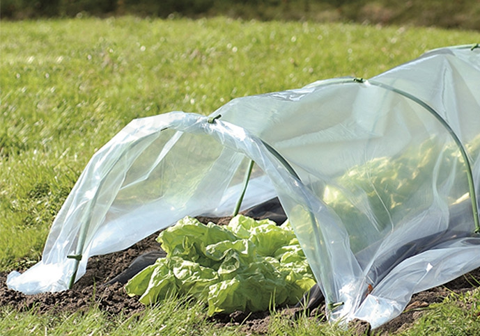 Garden Line Fóliovník tunel / pařeniště 50 x 400 x 50 cm - Obrázek 2