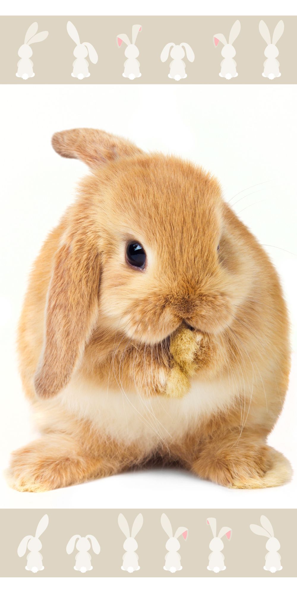 Jerry Fabrics Bavlněná froté osuška 70×140 cm – Bunny "Brown" Jerry Fabrics Bavlněná froté osuška 70×140 cm – Bunny "Brown"