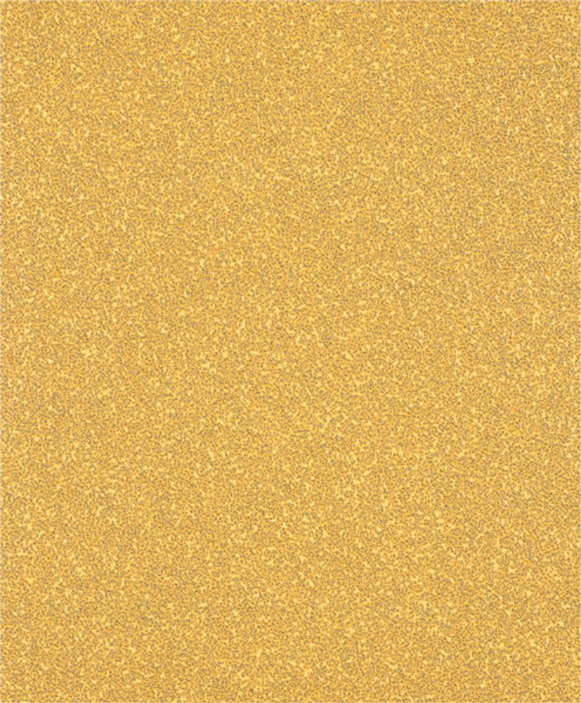 Brusný papír Bosch EXPERT C470 230 x 280 mm P40 2608900957 Brusný papír Bosch EXPERT C470 230 x 280 mm P40 2608900957